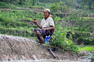 1307101791-naga-farmers-work-hard-in-paddy-fields-as-the-monsoon-arrives_713772